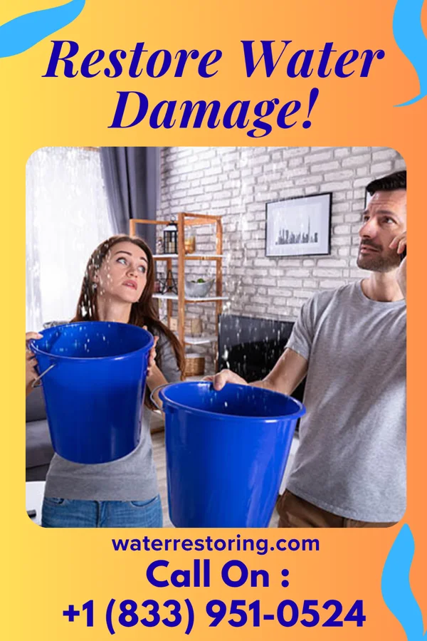 water restoration Vanguard Sewage Cleanup Authority Centreville