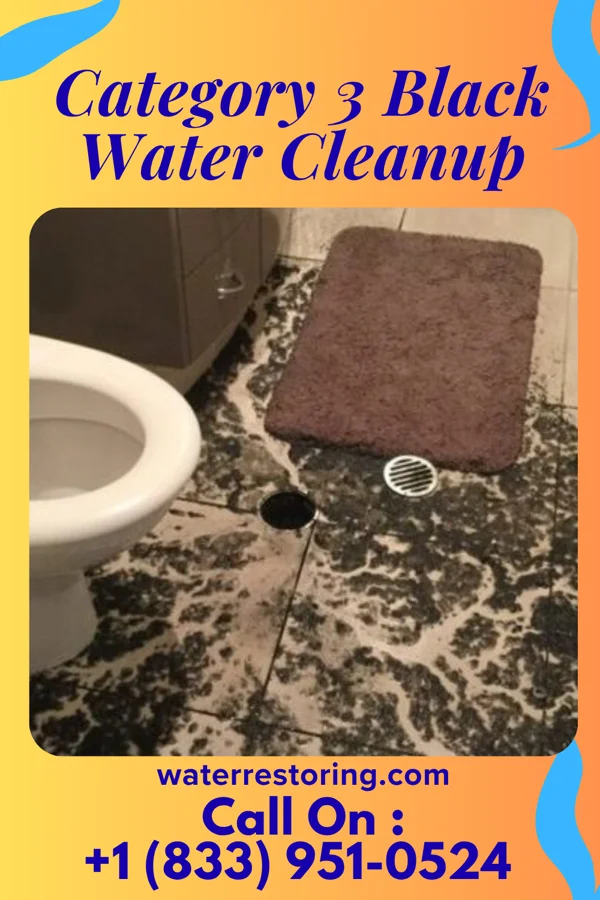 Category 3 Black Water Cleanup in Centreville, MI