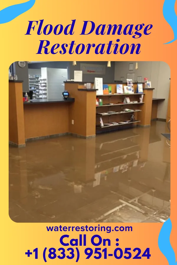 Flood Damage Restoration in Centreville, MI