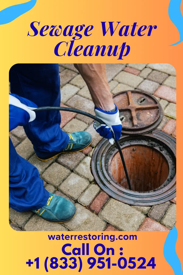 Sewage Water Cleanup in Centreville, MI